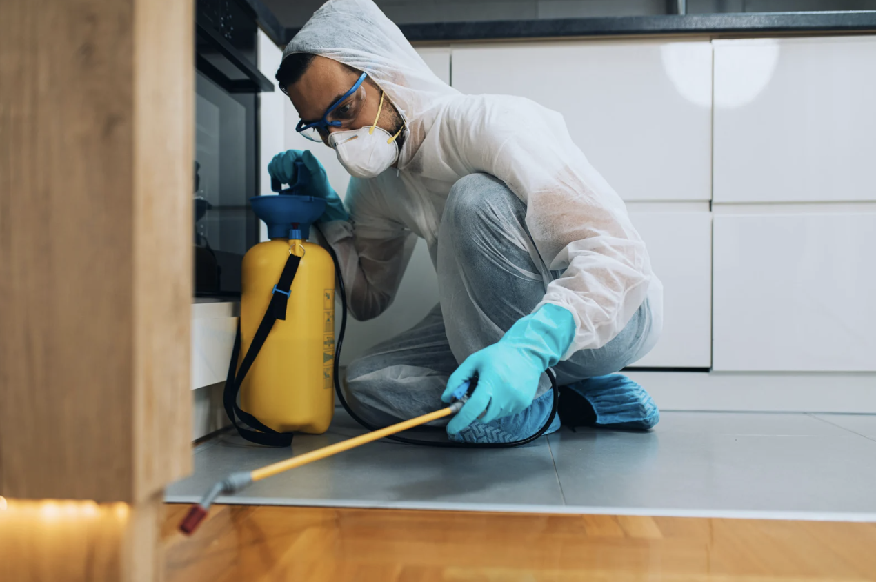 termite treatment